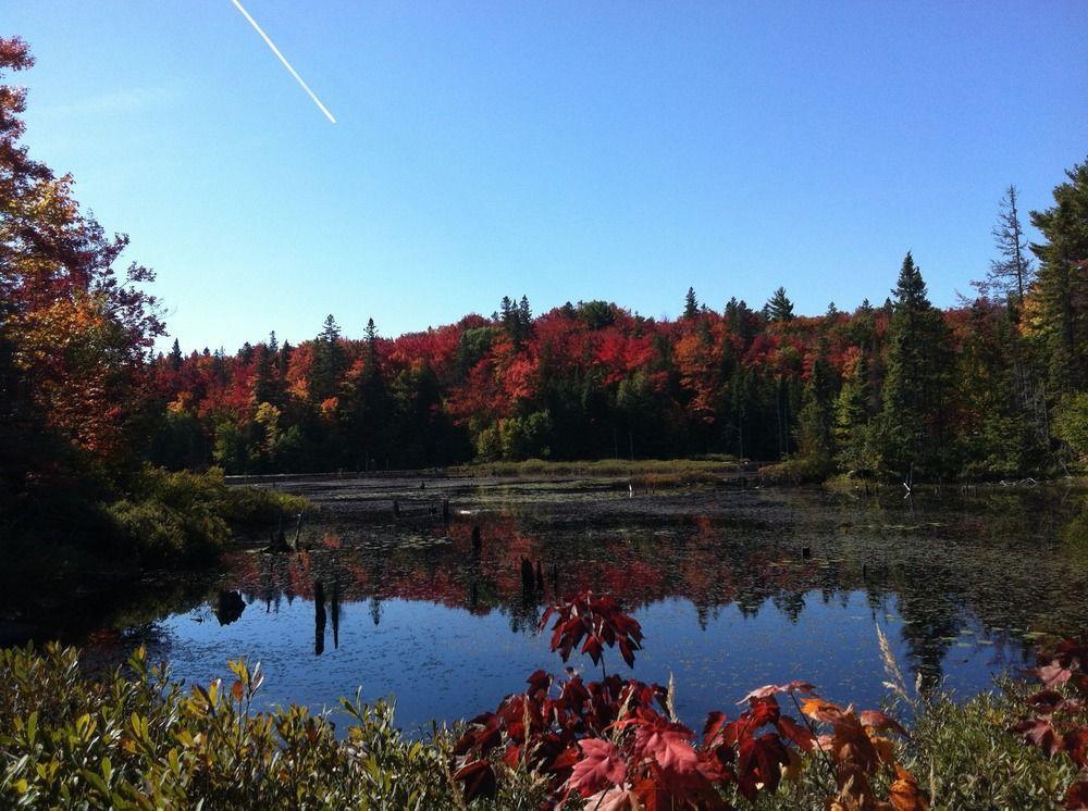Glenview Cottages Sault Ste. Marie Eksteriør bilde