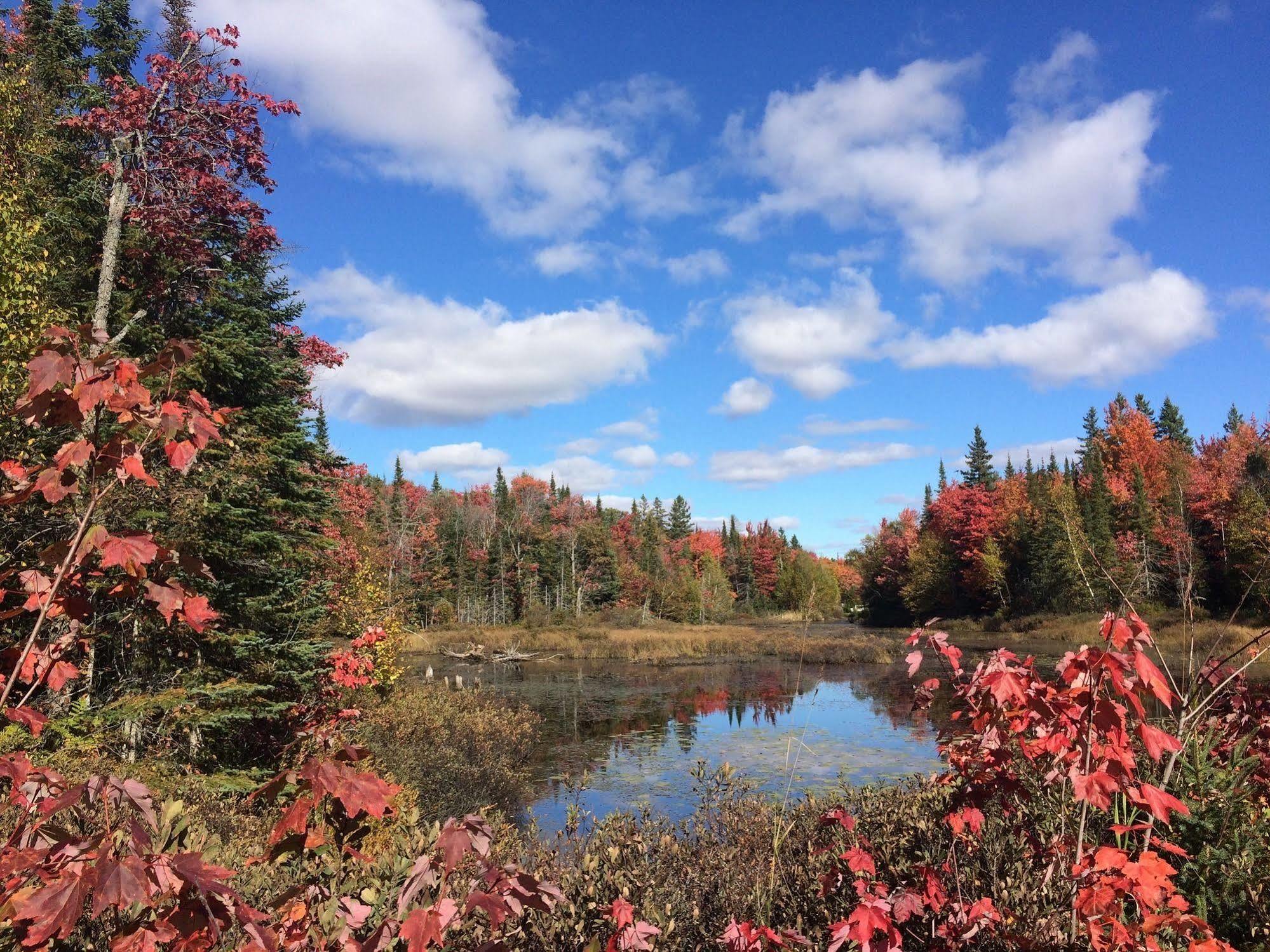 Glenview Cottages Sault Ste. Marie Eksteriør bilde